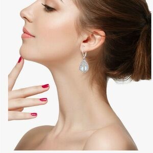 Elegant Silver Teardrop Earrings